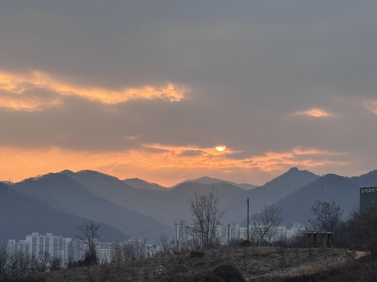 굿모닝
일요일 편한 마음으로 보내세요.