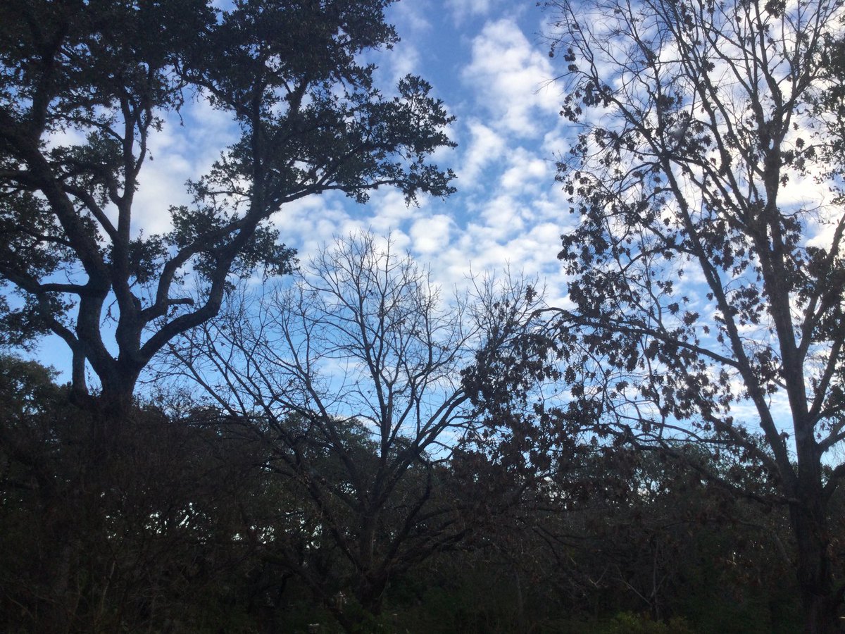 David Baumanm (@baumanndivision) on Twitter photo 