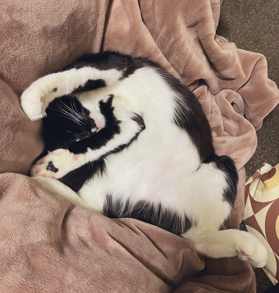 お腹寒ないんか