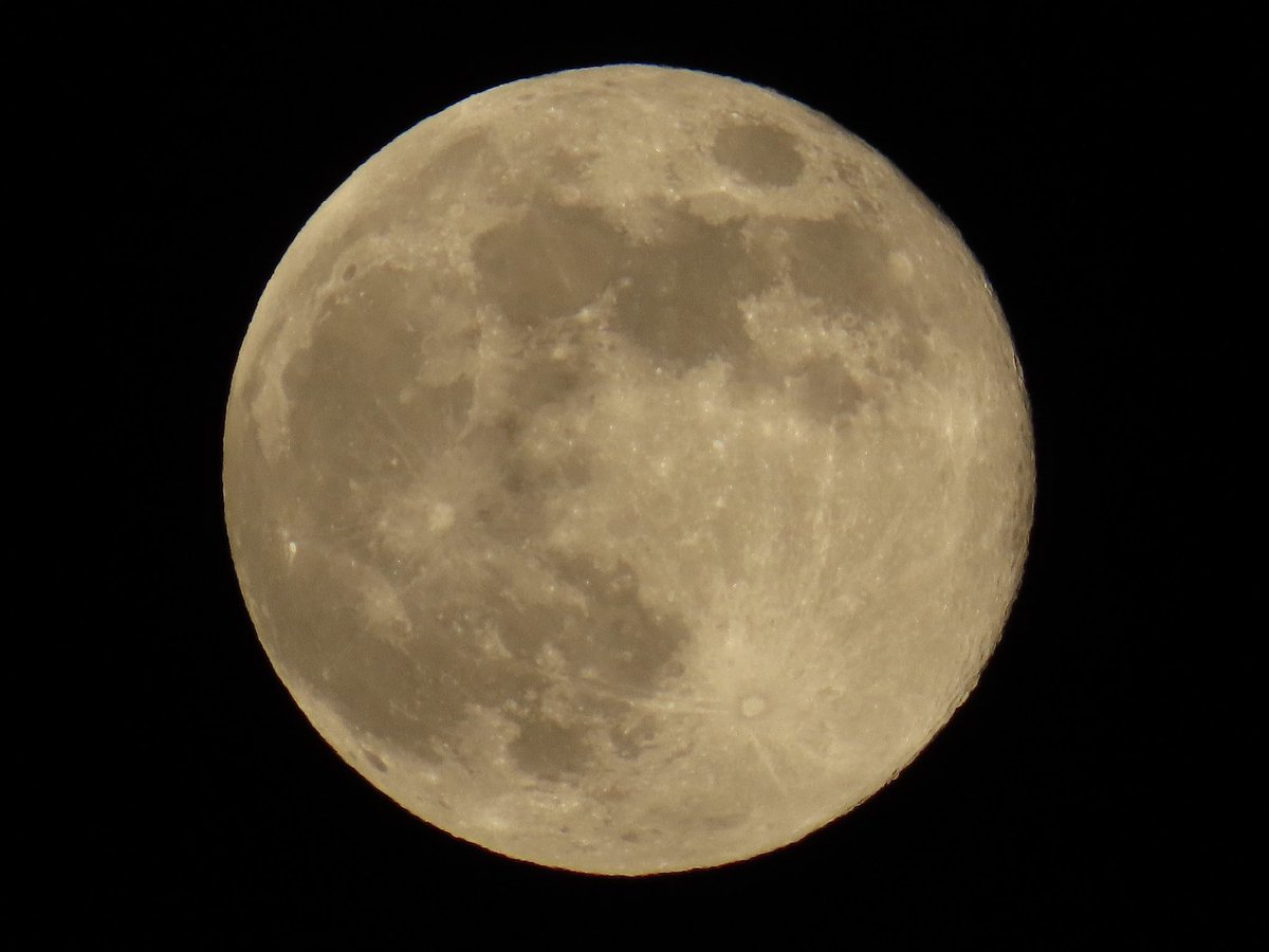 yvsmin_'s tweet image. january wolf moon