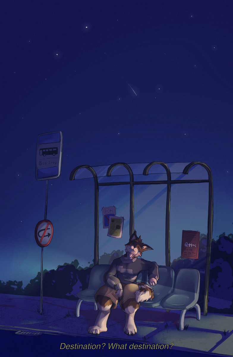 Canto! 💫 tweet media