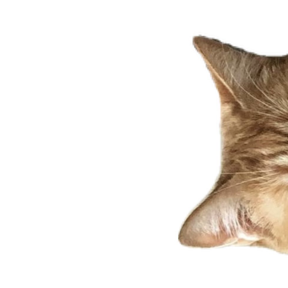 yechangatito's tweet image. did it work   :-3