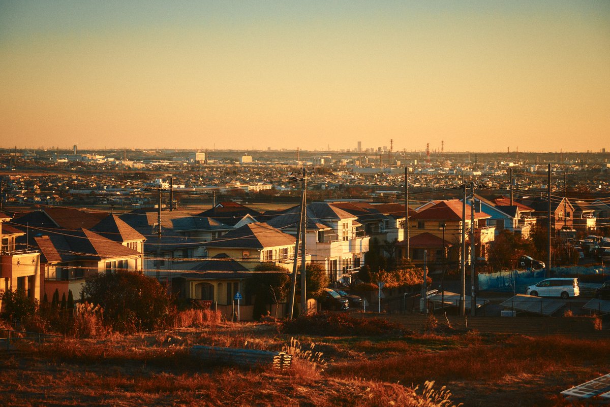 真道 健志 / Shindo Takeshi tweet media