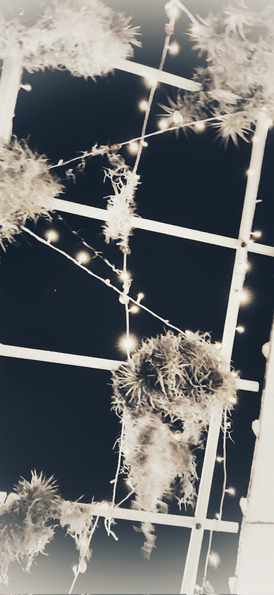 Ya en la recta final ....
Última cena de estas navidades, ya solo queda el almuerzo de reyes 🤦🏻‍♂️🤦🏻‍♂️🤦🏻‍♂️ y carnavales en 3, 2, 1 .... 😜😜😜