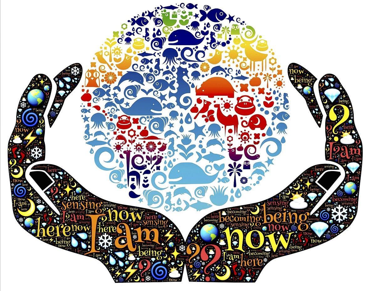 To Impossible and Beyond; Why Today’s Headlining Fake Meats are Important Game Changers medium.com/@micheletraine… 

#OceanProtectionLeague #SaveTheOcean #ocean #beach #nature #sea #travel #love #sky #water #climatechange #Sustainable