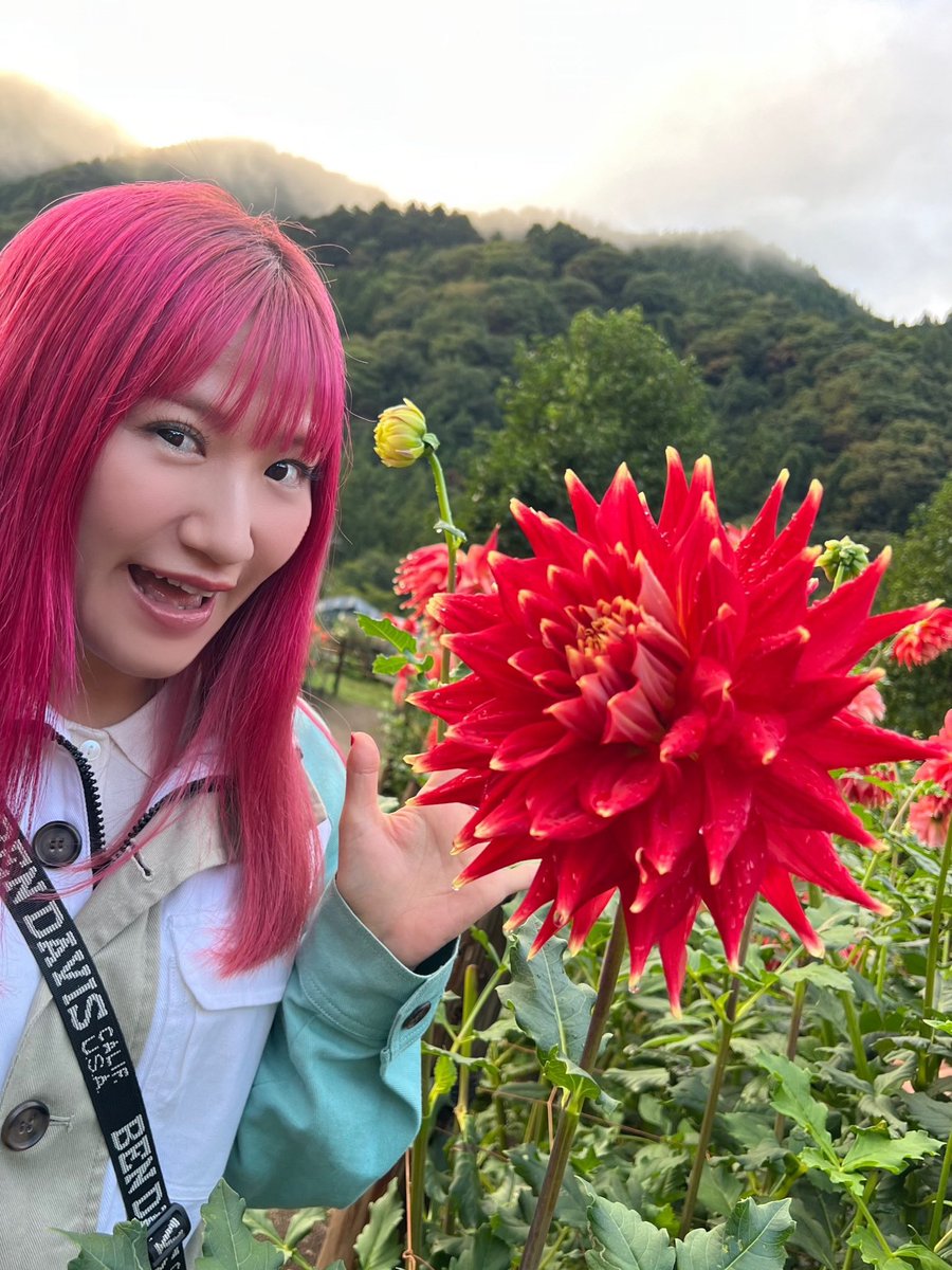 今夜もひとり猫カフェ (@hukuroucafemo) / Posts and Replies / X