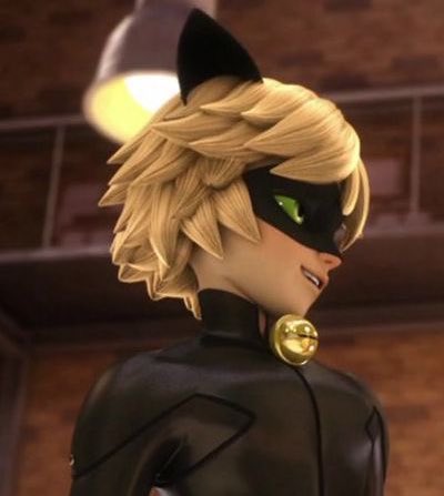 daily chat noir tweet media