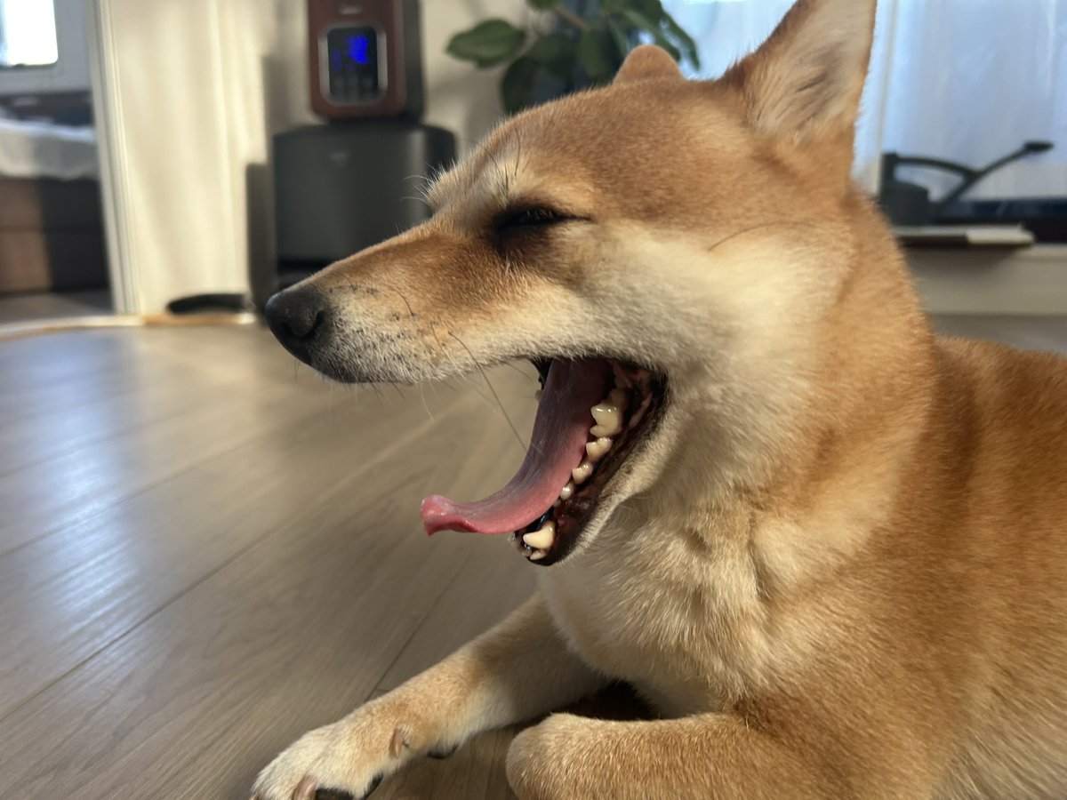 2026年を始めます。
今年もよろしくお願いいたします。
🏇　　　　　　🏇🏇🏇🏇🏇🏇