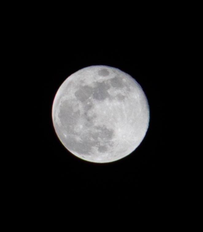 _ditzyspice's tweet photo. First Full Moon of 2026 - Wolf Moon https://t.co/oej3uUNJoT
