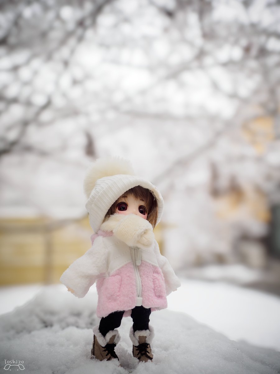 冬の空気に胸を弾ませた、そんな日