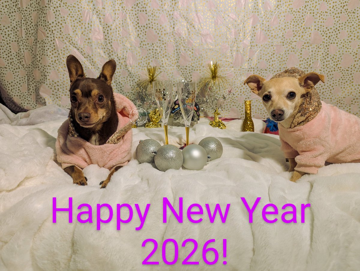 ❤️🏍️Chewby & Snow White🛵❤️ tweet media