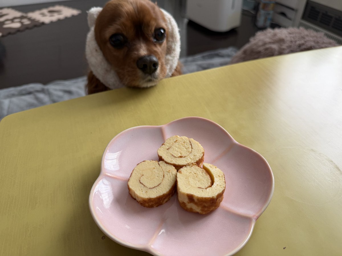 cocoacavalier's tweet photo. おいしかったー https://t.co/d0JYBw5Wi1