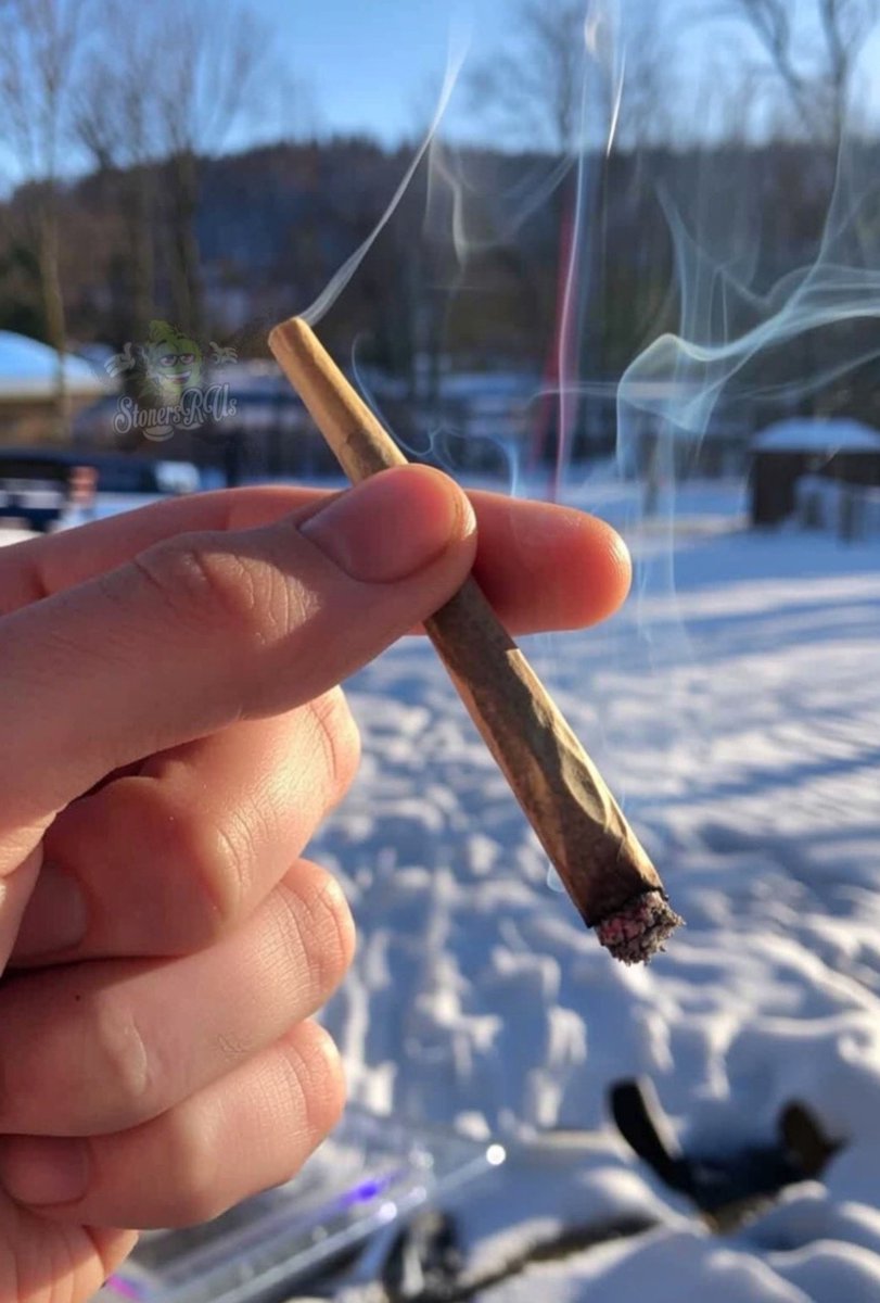 _StonersRUs_'s tweet image. Good morning stoners and happy Sunday to you all! 💚