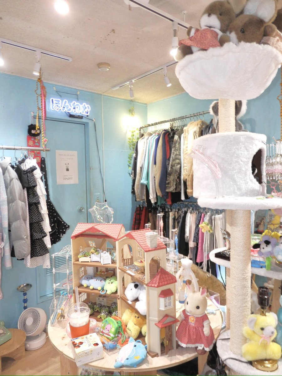 USED&SELECTほんわか (@honwaka61) / Posts and Replies / X