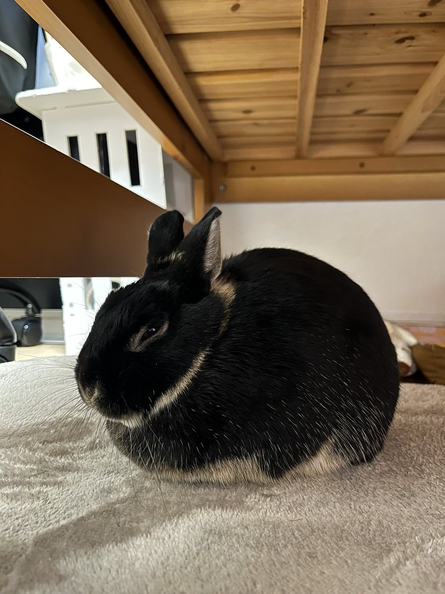 可愛いねぇゆづき