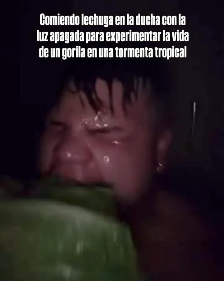 ElJeringasLoko's tweet image. 