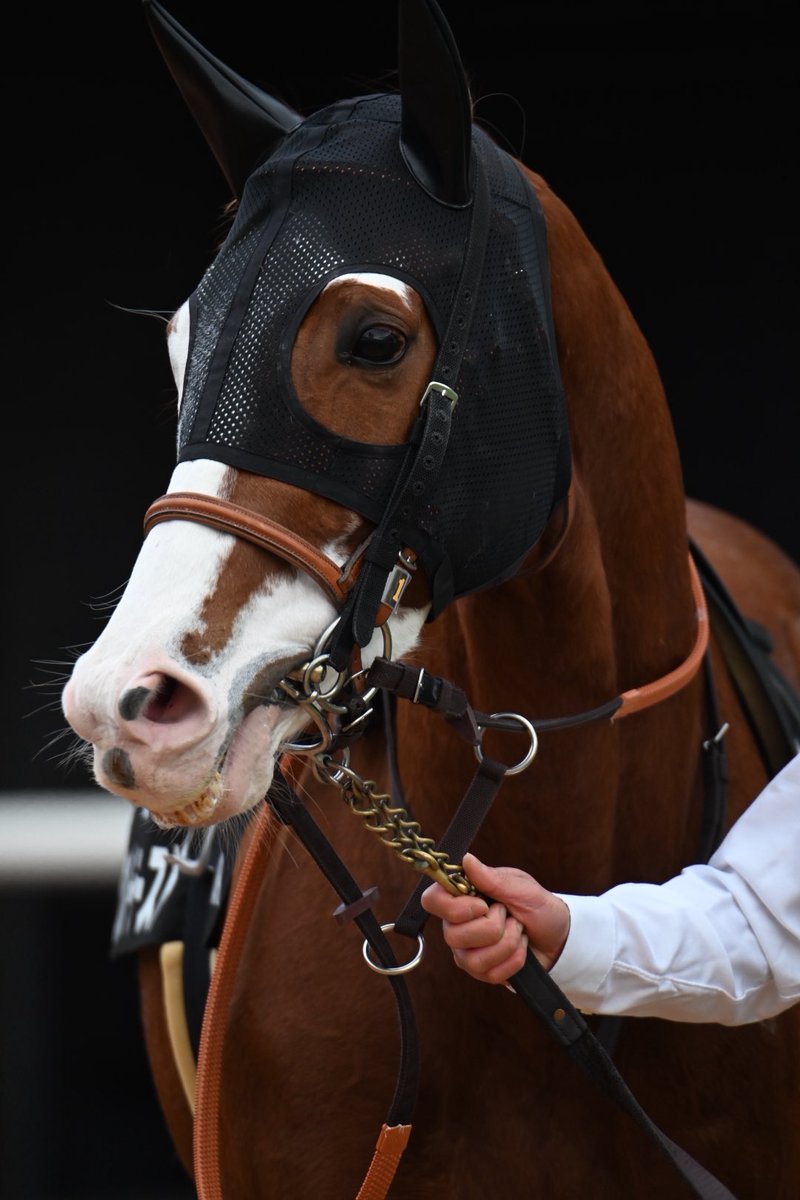 オルフェーヴル