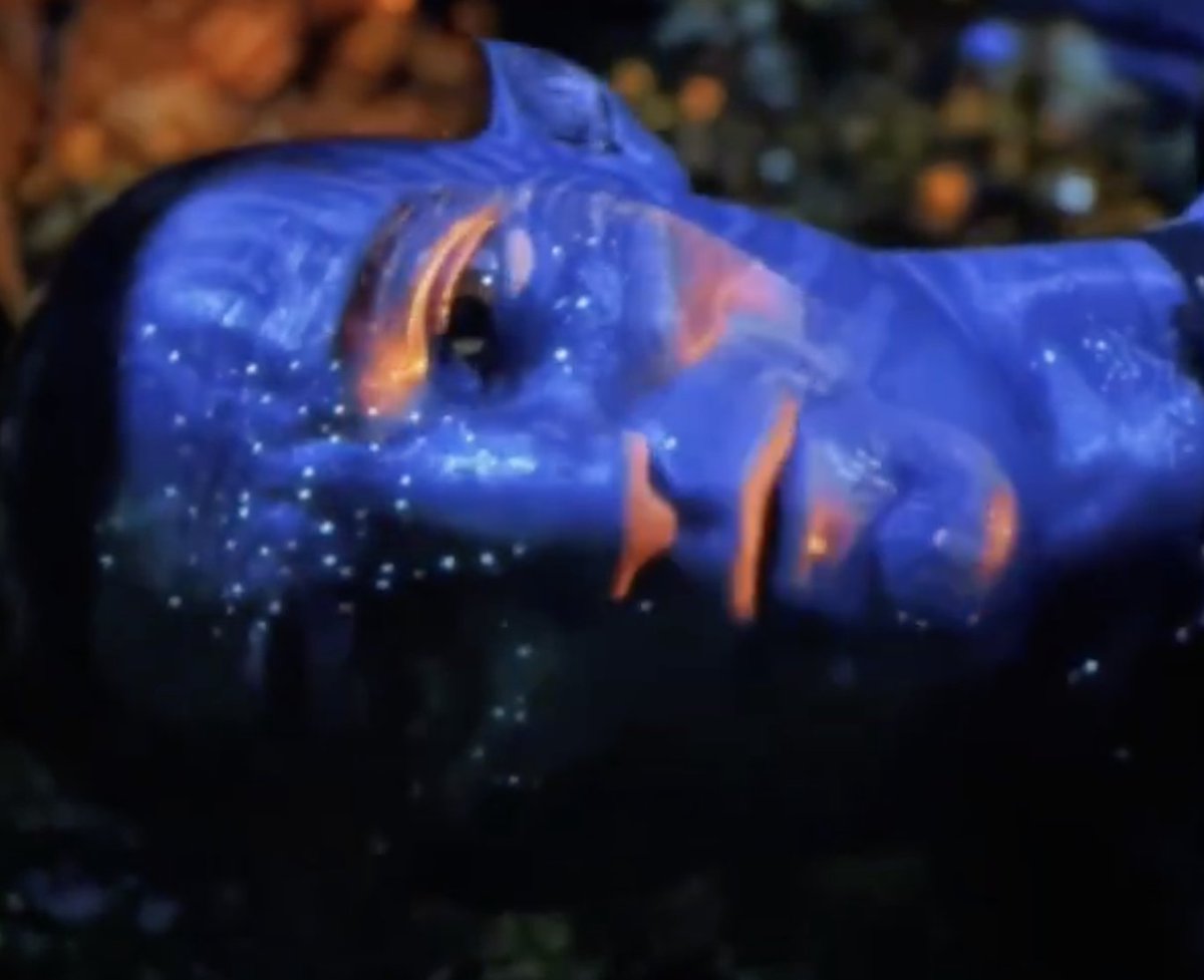 7he0th3r's tweet image. Like why your pupil so big rn home boy? Enjoying the view?