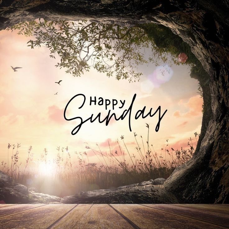 Good morning 𝕏 fam ☀️
Happy first Sunday of the year.

May this year begin with peace, favor, and divine direction.
May your efforts be blessed and your days filled with joy.
Have a beautiful Sunday and a fruitful year ahead.🙏🏽