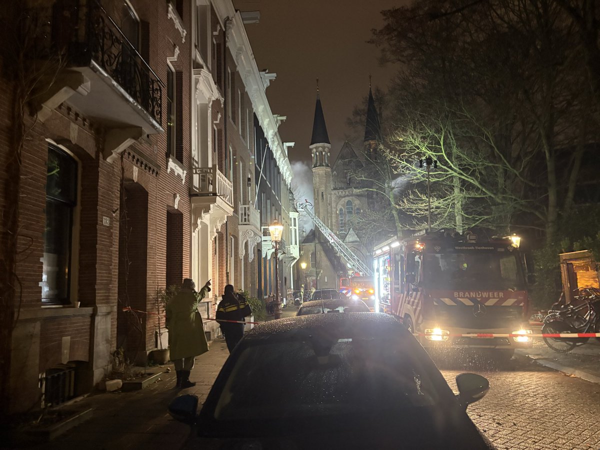 Mascha de Jong 🪼 tweet media