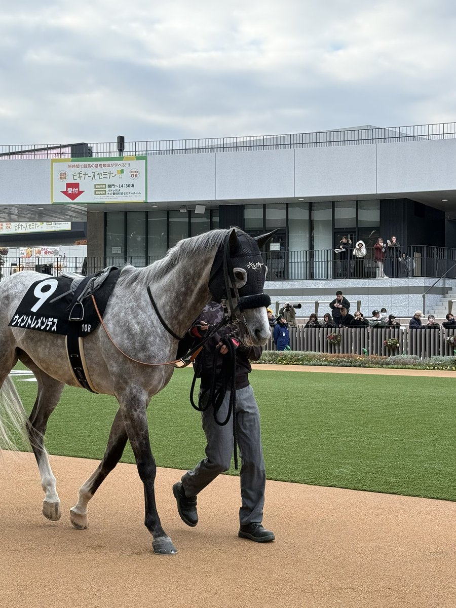 ChhiF's tweet image. 京都10レース
寿ステークス
ゴールドシップ産駒
ウイントレメンデス✨️
武豊👍👍👍