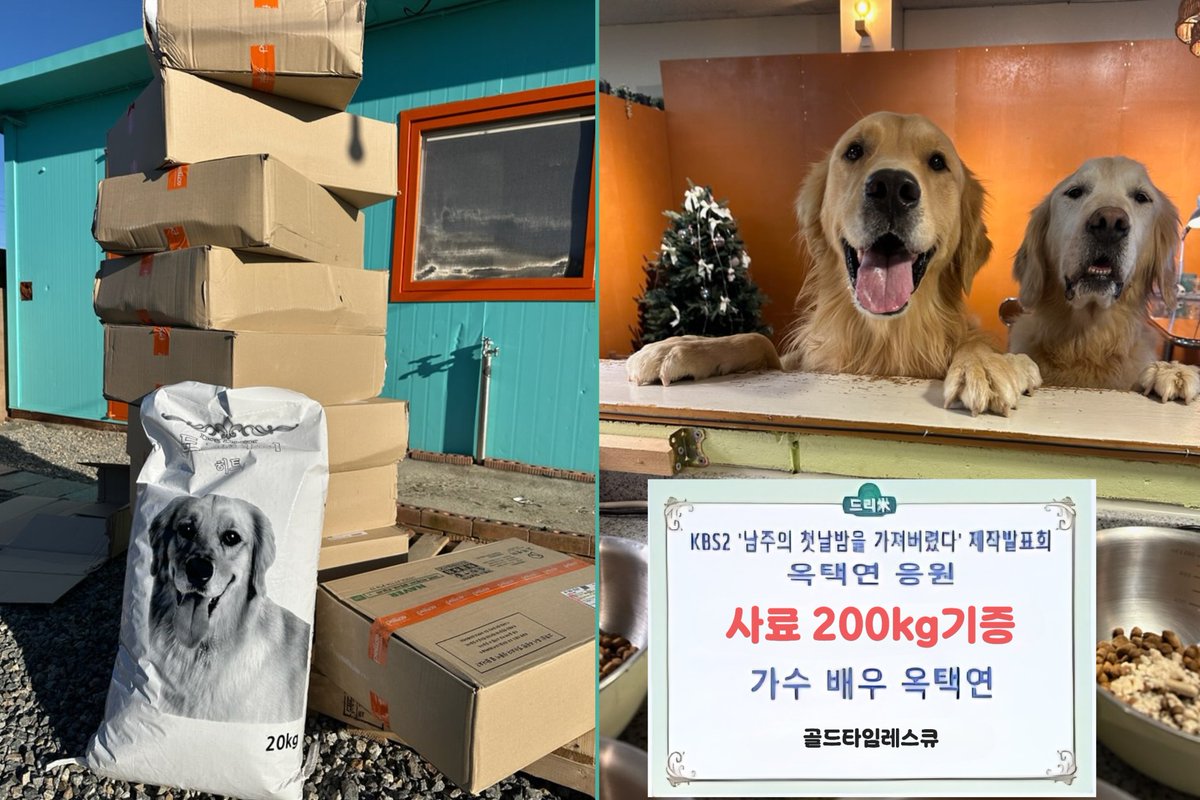 원택(원더풀택연) tweet media