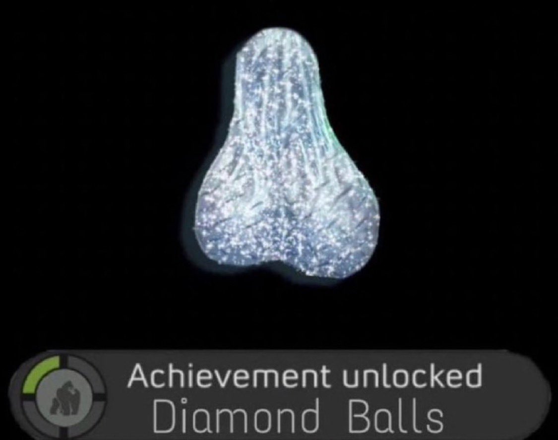 people who survived 4 year bear market, FTX crash ,Luna $0, CZ Jail, Germany dumping, Mt. Gox unlocks, Trumps Tariffs, BlackRock dumping, Saylor FUDs, WW3 …