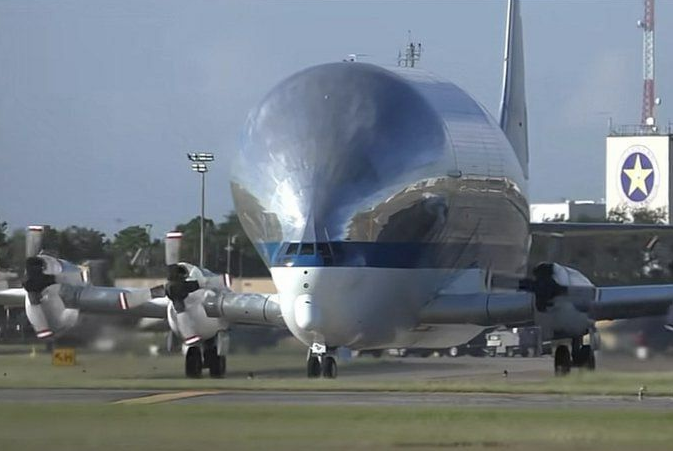 The special plane to deport Somali daycare scammers.