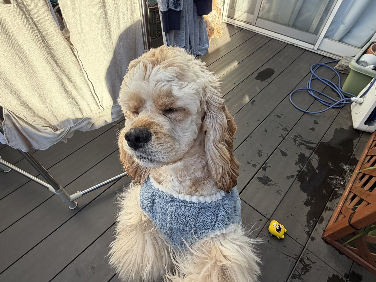 めるも「ボク うぃん、弟はエア 妹はエイル よろしくね