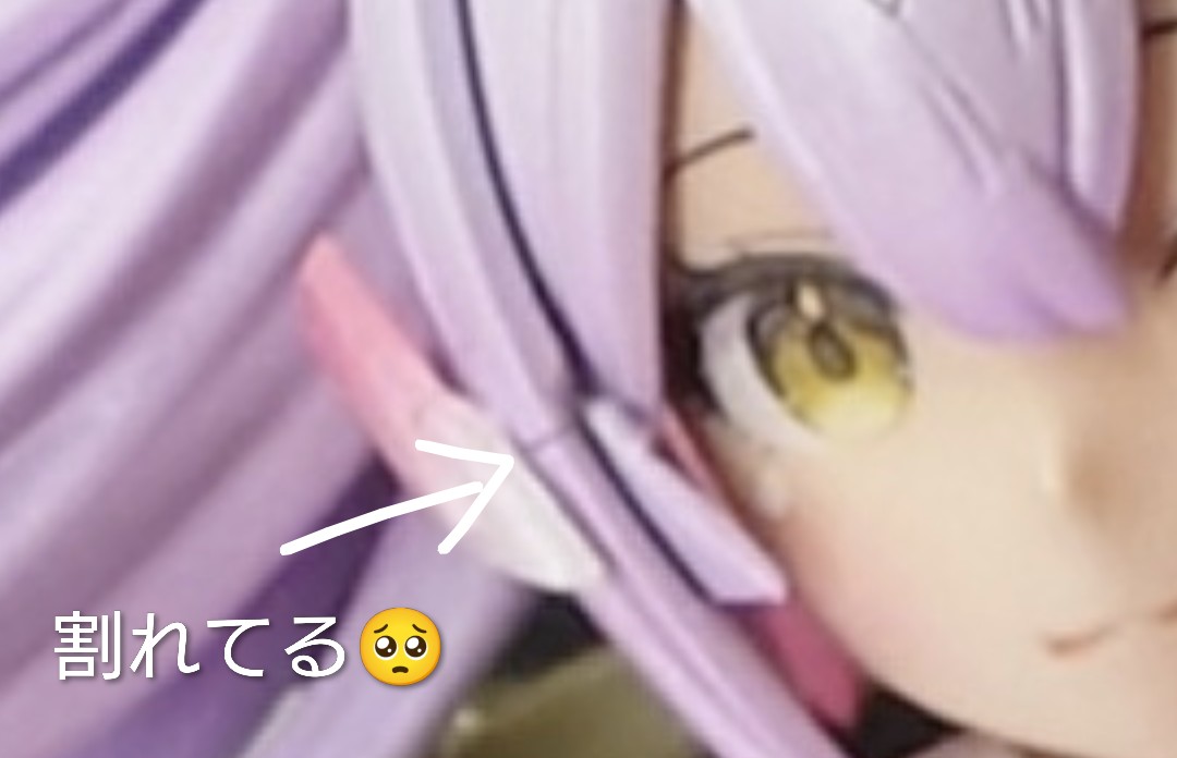 【Lupinus様♡ご確認ページ】 ファイル:Lupinus albus 000 223 259 O.jpg - Wikipedia