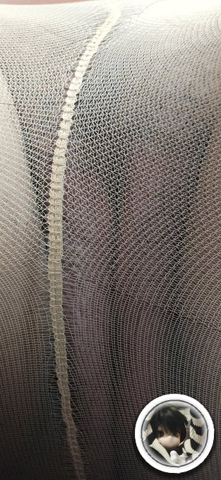 晨✨|Chen_XXLver tweet media