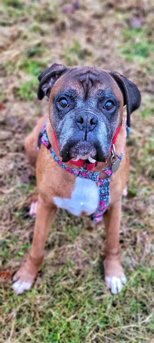 Carter Ferguson ⚔ 🏴󠁧󠁢󠁳󠁣󠁴󠁿 #FightDirector tweet media