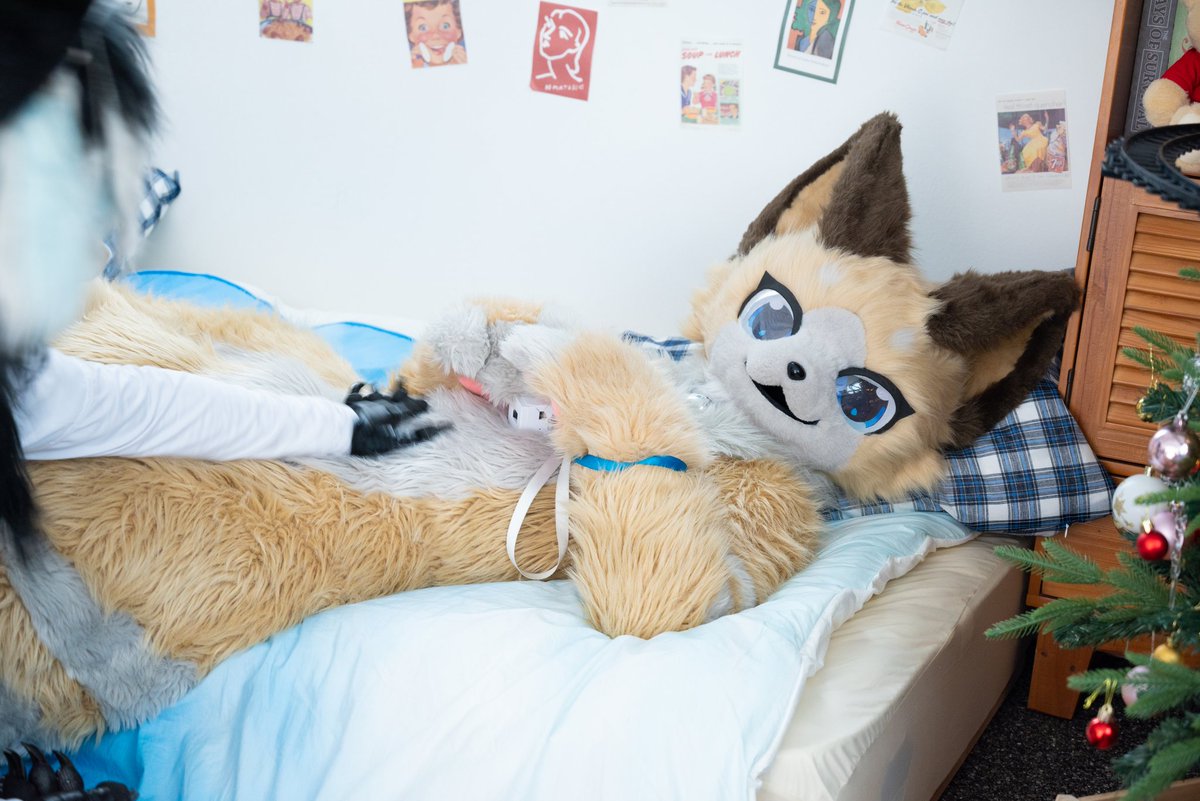 shellpwe's tweet image. #fursuit #furry #着ぐるみ

🤍　: 복복복복복
💛 : ?

📸 : @cheugyu