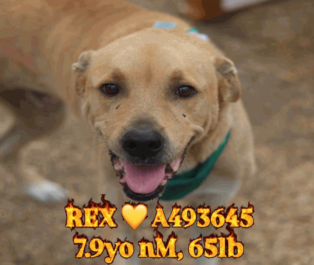 Aurora ⸆⸉ misses Liam ❯❯❯❯ tweet media