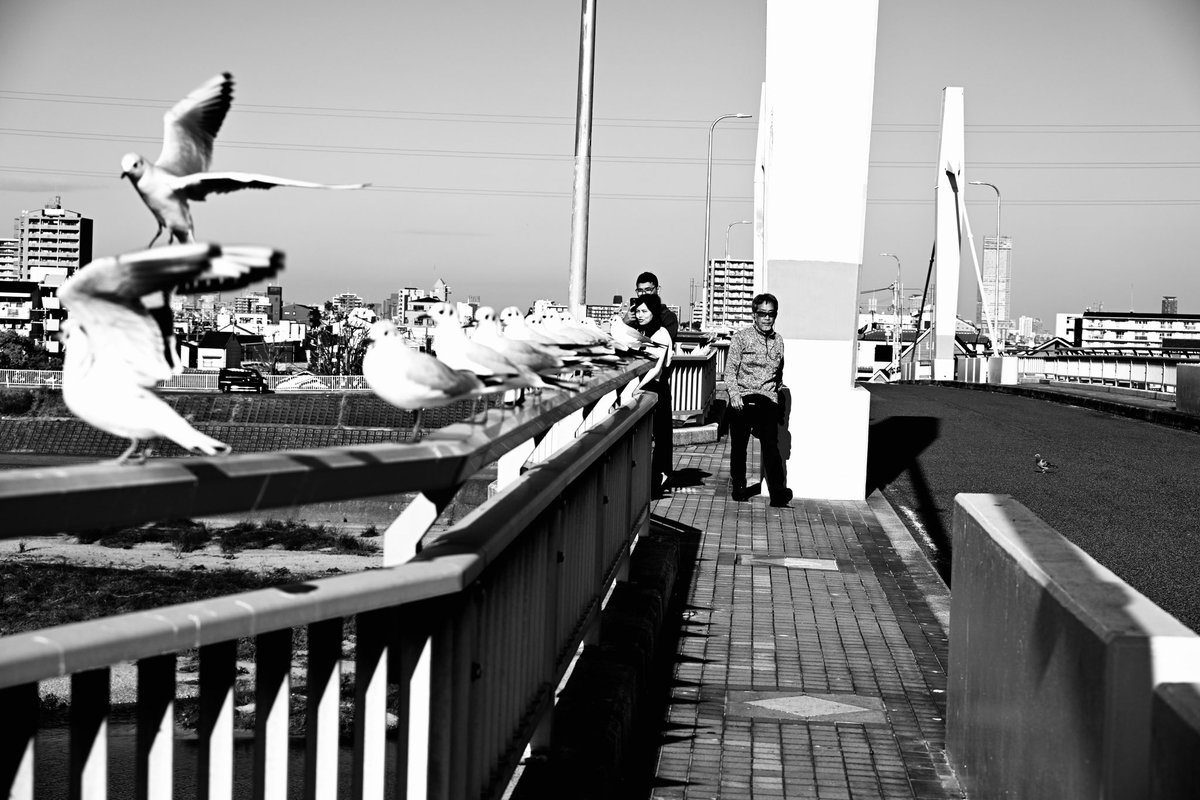 74Yossan's tweet image. 