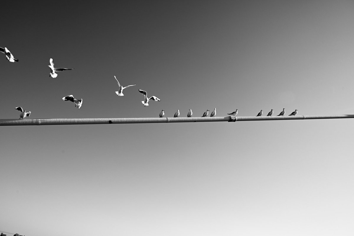 74Yossan's tweet image. 