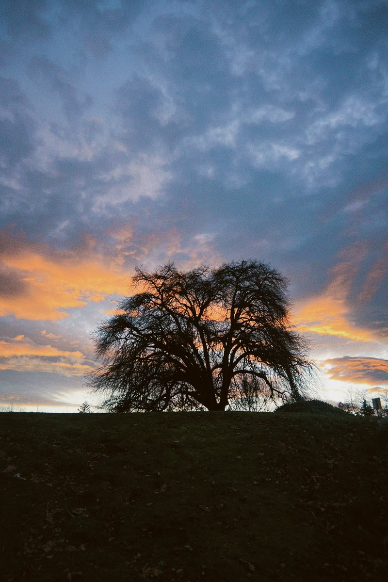 Stephen Tracey tweet media