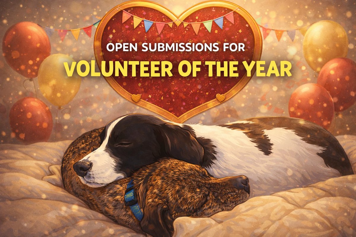 Volunteer of the Year 2025 submissions are open. Winner announced Valentine’s Day with a $250 donation to their 501(c)(3) rescue. #VolunteerOfTheYear #AnimalRescue #RescueVolunteers
