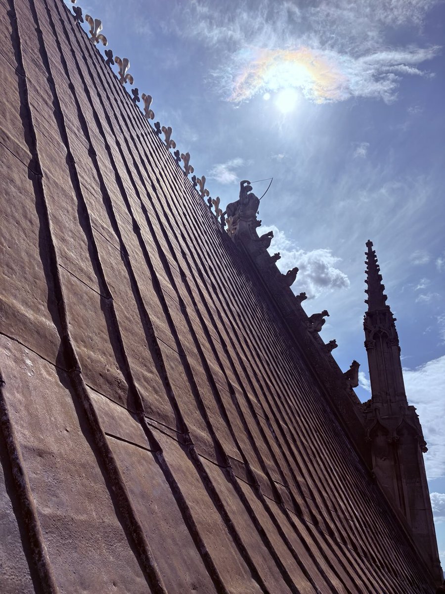 FrSteveGrunow tweet media