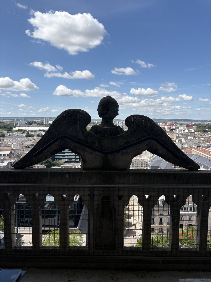 FrSteveGrunow tweet media