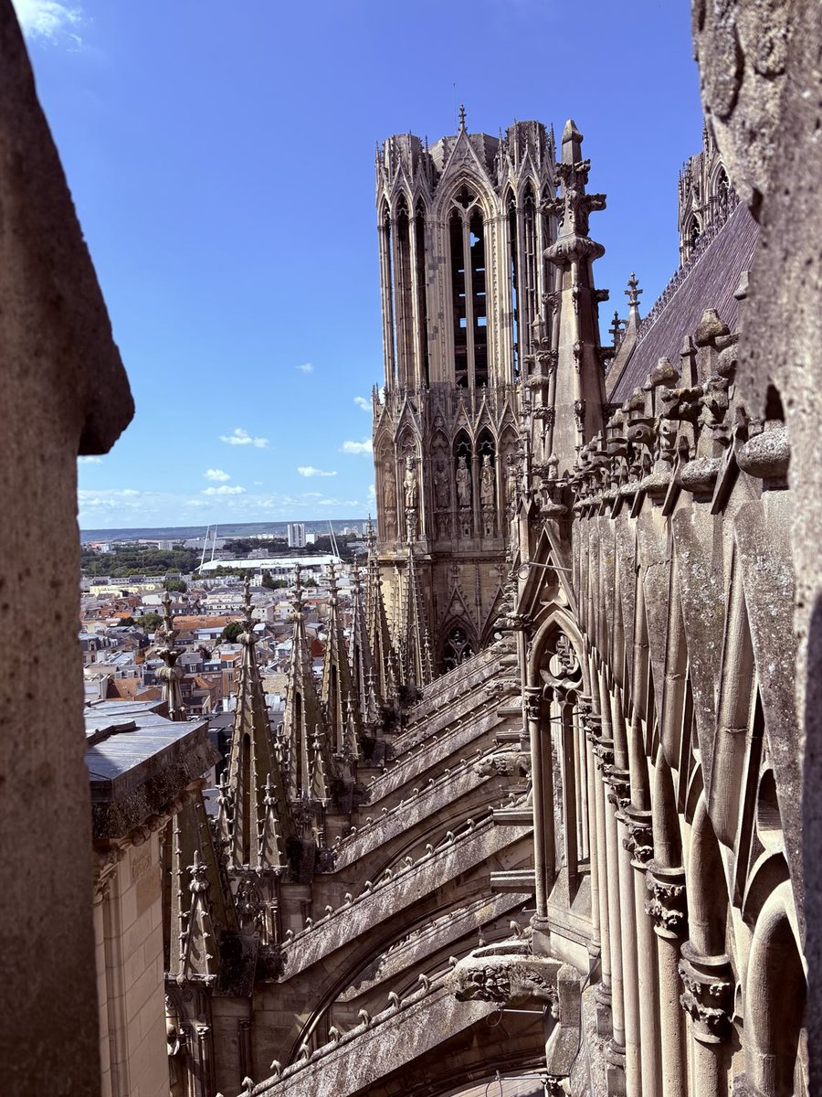 FrSteveGrunow tweet media