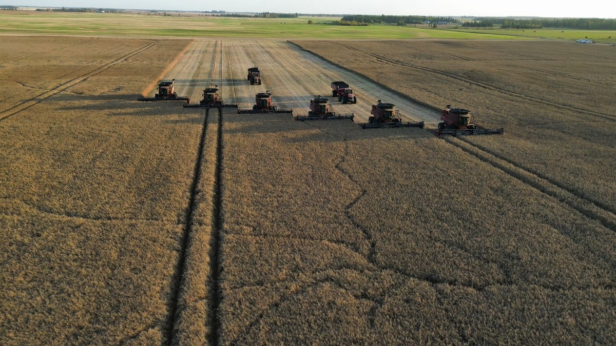 Dallas Thacker tweet media