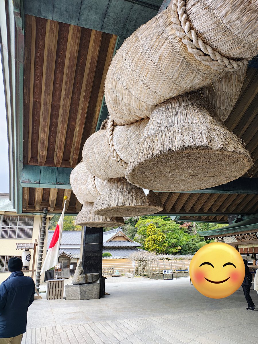 けろりん（ぷーちゃん）🐸🐙🐗🩲🦠 (@kerorin018) / Posts / X