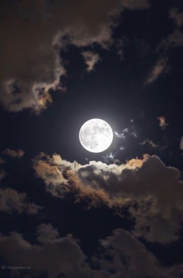 Bella como para atreverse a soñar atrevidamente. #BuenasNoches