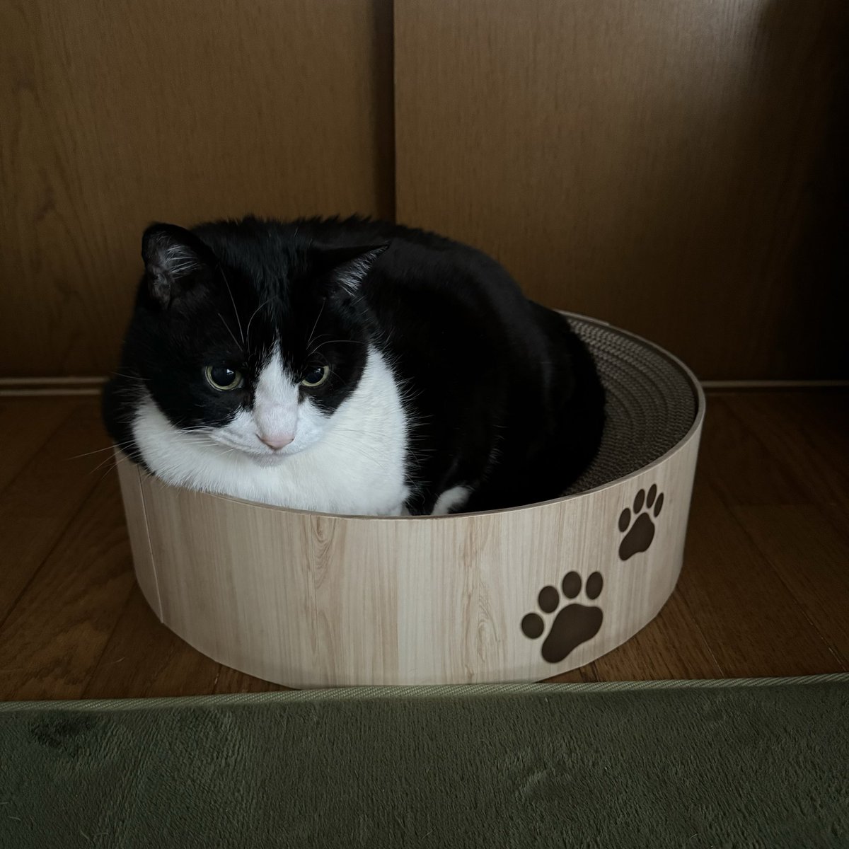 やす子 (@yasuko_sma) / Posts and Replies / X