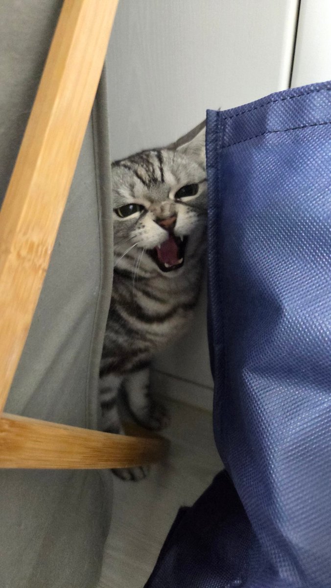 분노 단계별 레벨업