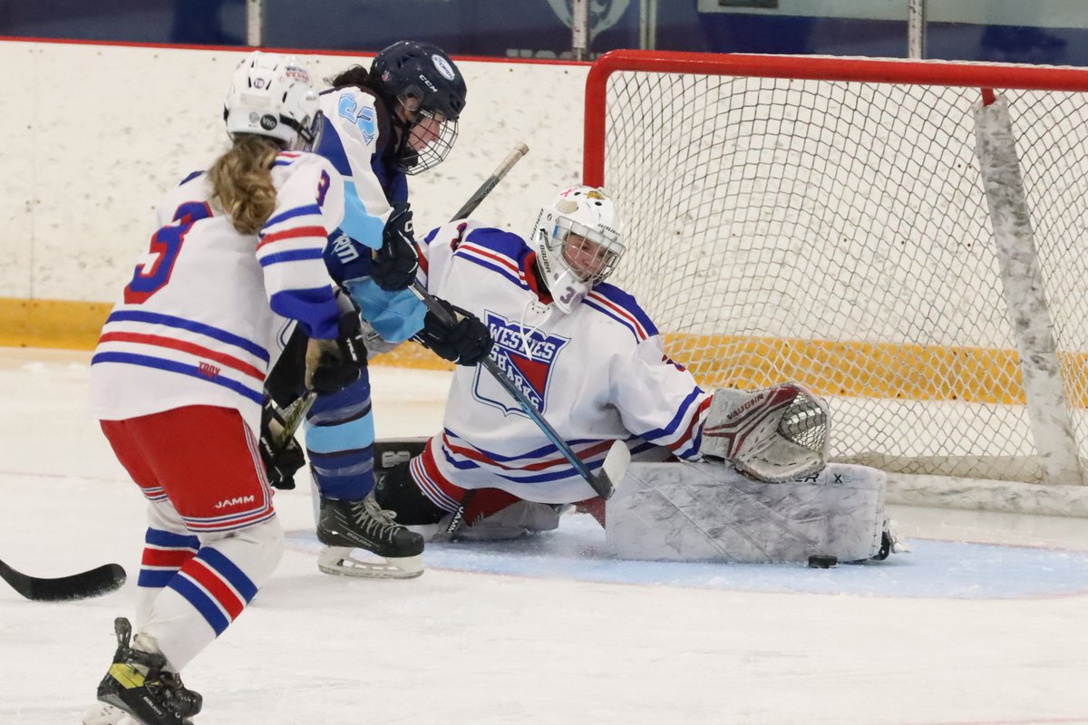 BlueDevilPhoto2's tweet image. WHSHA Girls' Hockey falls to East Catholic 3-0.  The Westie Sharks will host the Hand Tigers on Tuesday at 5:30pm. @CoachMorrell1 @SCCcommissioner @ciacsports 
flic.kr/s/aHBqjCFxpt