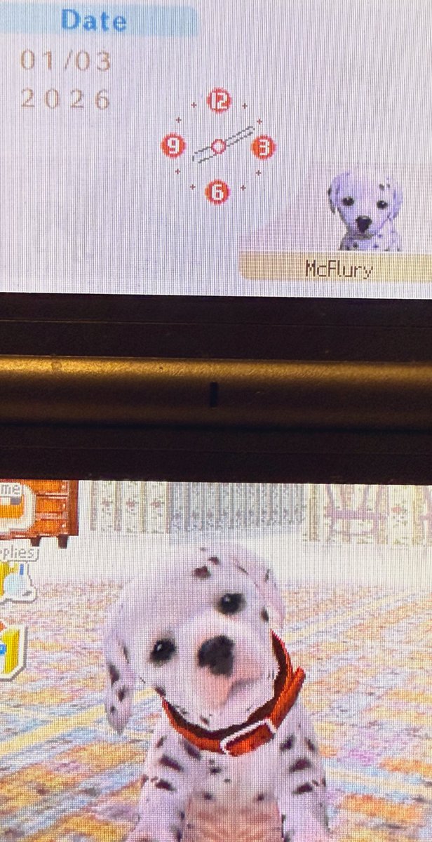 frogdaes's tweet image. there weren’t enough letter spaces to spell her name right but everyone meet McFlury