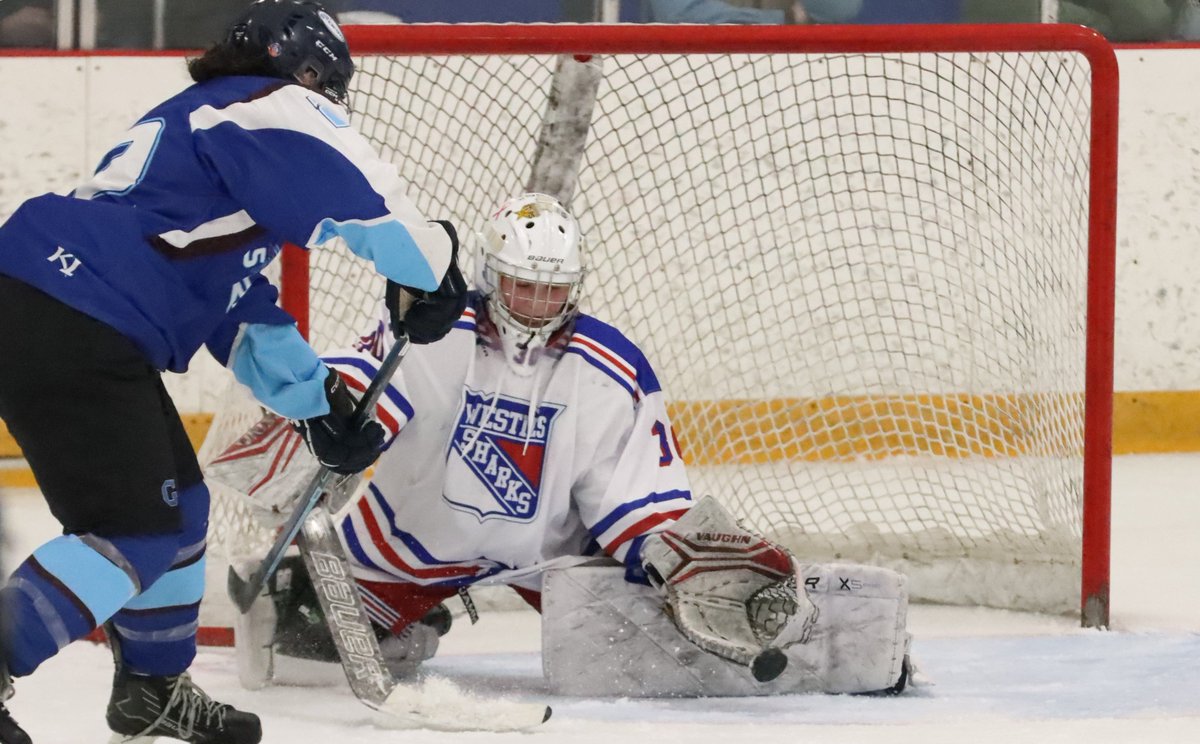 BlueDevilPhoto2's tweet image. WHSHA Girls' Hockey falls to East Catholic 3-0.  The Westie Sharks will host the Hand Tigers on Tuesday at 5:30pm. @CoachMorrell1 @SCCcommissioner @ciacsports 
flic.kr/s/aHBqjCFxpt