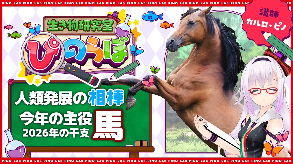 ピノ様ご確認ページ カルロ ピノ🐜 (@carro_pino) / Posts / X